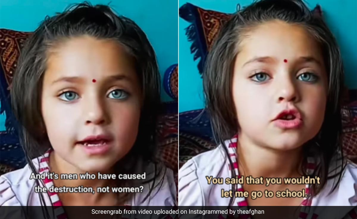 अफगानी बच्ची ने पिता से की स्कूल जाने की ज़िद, देश को लेकर कही ऐसी बात, वायरल हो गया Video