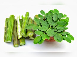 सहजन की पत्तियां या सहजन की फली क्या खाना है ज्यादा फायदेमंद?