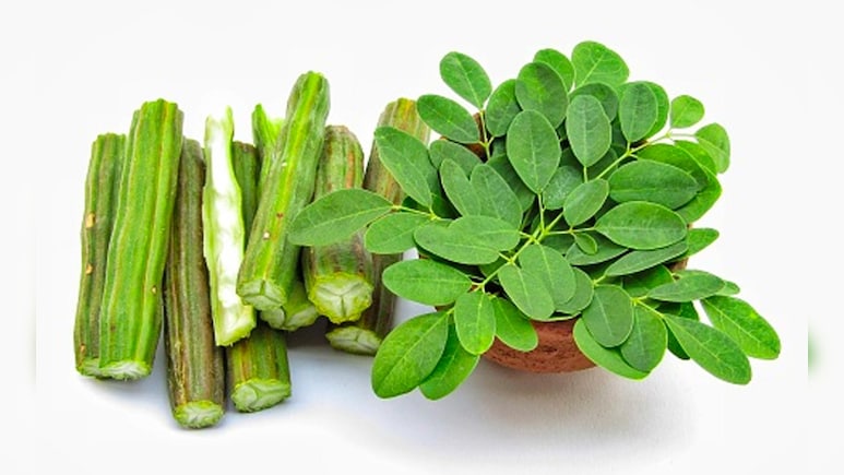 सहजन की पत्तियां या सहजन की फली क्या खाना है ज्यादा फायदेमंद?