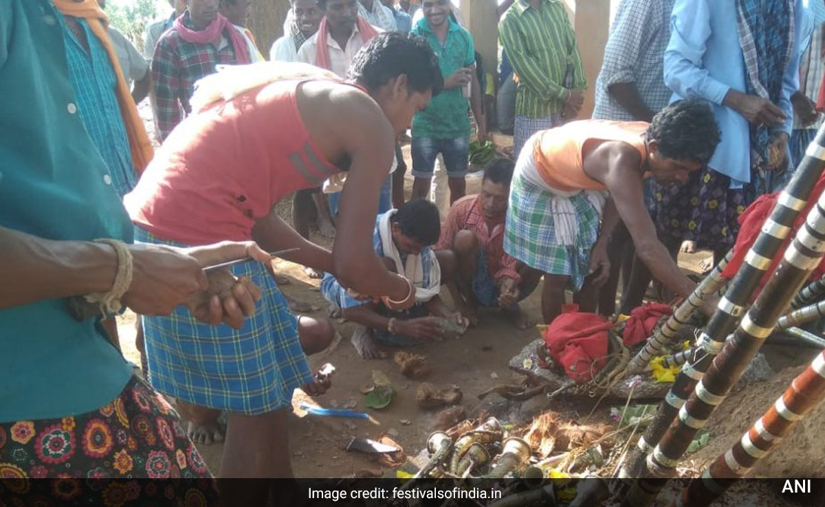 Adivasi Mati Festival: बस्तर में होती है ‘माटी पूजा, एक-दूसरे पर लगाते हैं मिट्टी का लेप