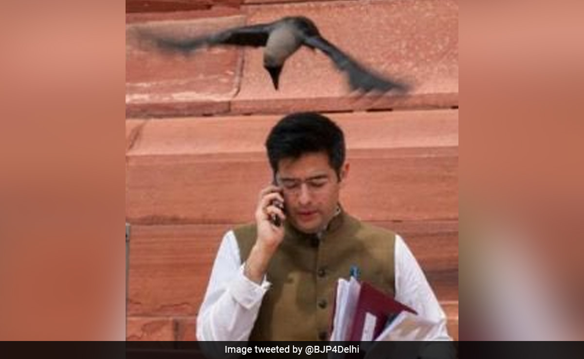 Raghav Chadha Responds To BJP's Crow Pic Tweet: "...<i>Aisa Kalyug Aaega</i>"