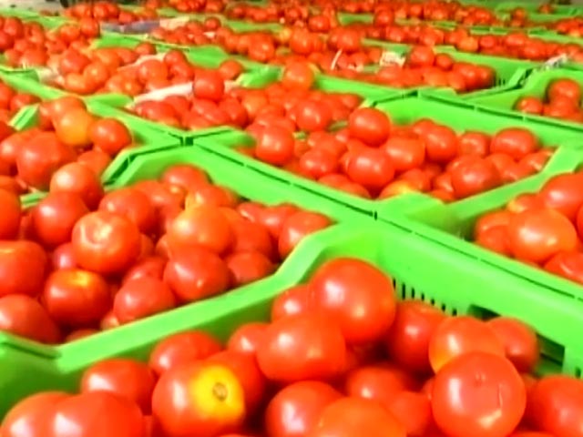 टमाटर होगा सस्ता, केंद्र ने नेफेड और एनसीसीएफ को दिया ये निर्देश
