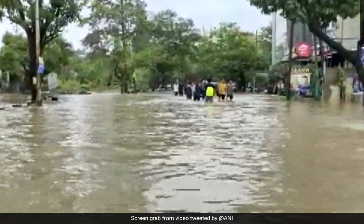 Video: Cars Swept Away In Flooded Gujarat City