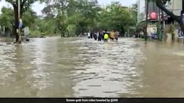 2 Dead, 1 Missing As Car Gets Swept Away In Flooded Causeway In Gujarat