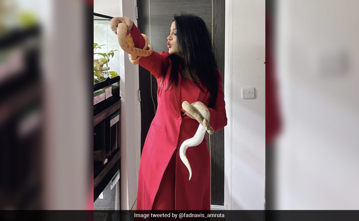 Amruta Fadnavis Poses With Reptiles On Social Media, Surprises Followers