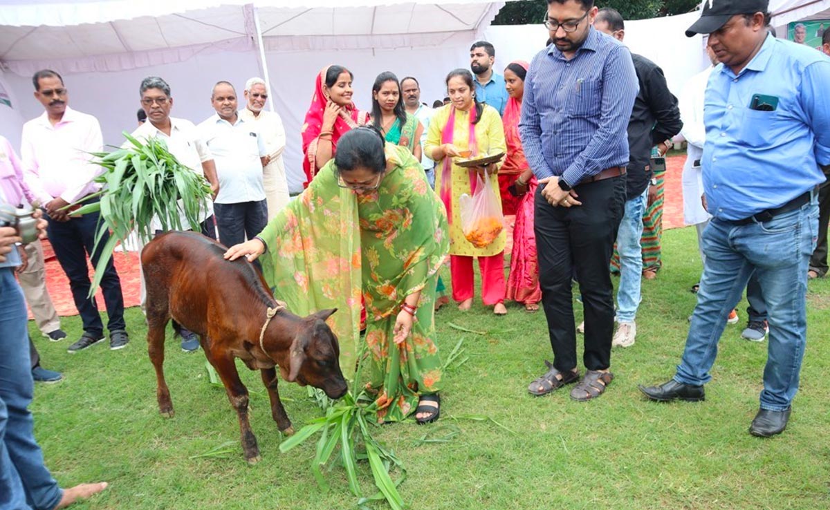 कोरिया : लोक पर्व हरेली के मौके पर हुआ 'छत्तीसगढ़िया ओलंपिक' का आगाज