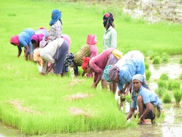 नीति आयोग की डेल्टा रैंकिंग में राजनांदगांव जिले को मिला देश में तीसरा स्थान  नीति आयोग की डेल्टा रैंकिंग में राजनांदगांव जिले को मिला देश में तीसरा स्थान