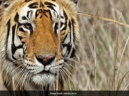 बालाघाट : कुदरती खूबसूरती, अकूत खनिज संपदा समेटे है मध्य प्रदेश का यह जिला बालाघाट : कुदरती खूबसूरती, अकूत खनिज संपदा समेटे है मध्य प्रदेश का यह जिला