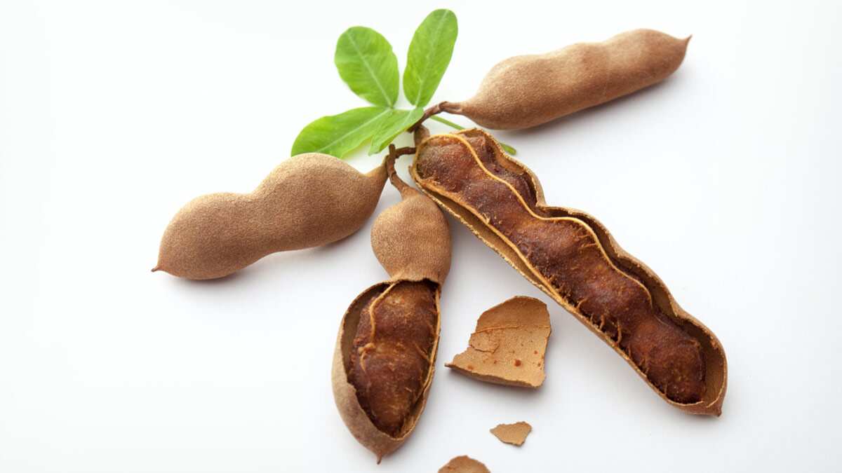 You Can Add Tamarind To Your Diet For Better Health; Heres How