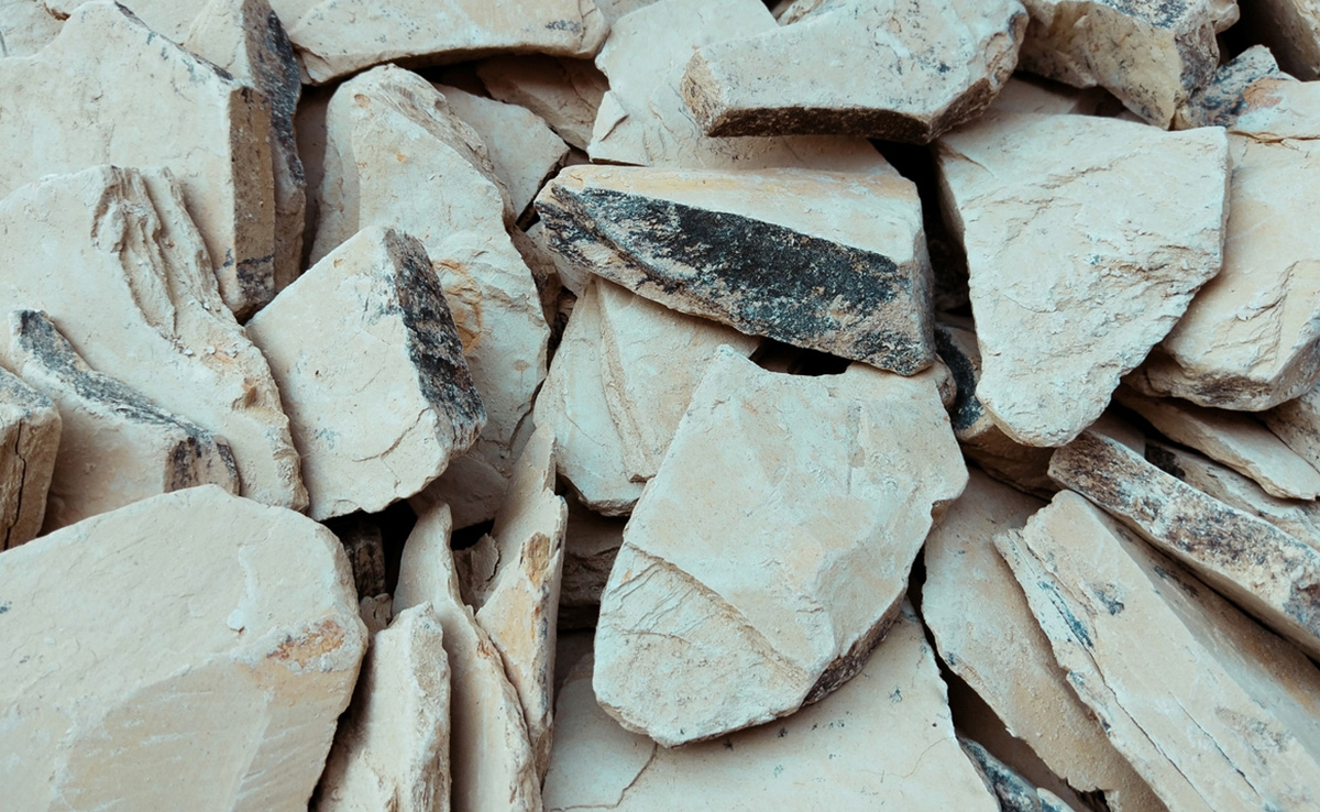 चिपचिपी त्वचा को कह दीजिए अलविदा, ये 4 मुल्तानी मिट्टी के फेस पैक्स Oily Skin की दिक्कत कर देंगे दूर 