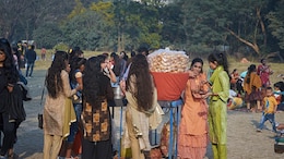 Slurp Alert! Dive Into Kolkata's Street Food Extravaganza With Harsh Goenka