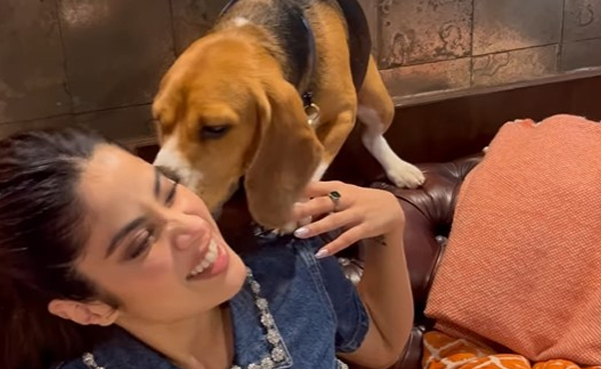 Video: जाह्नवी कपूर के कंधे पर चढ़ा वरुण धवन का कुत्ता, लोग बोले - मैम ये भी आपका फैन है