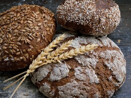 Book Review: Is Gluten Bad For You? Celebrity Nutritionist Explains It All