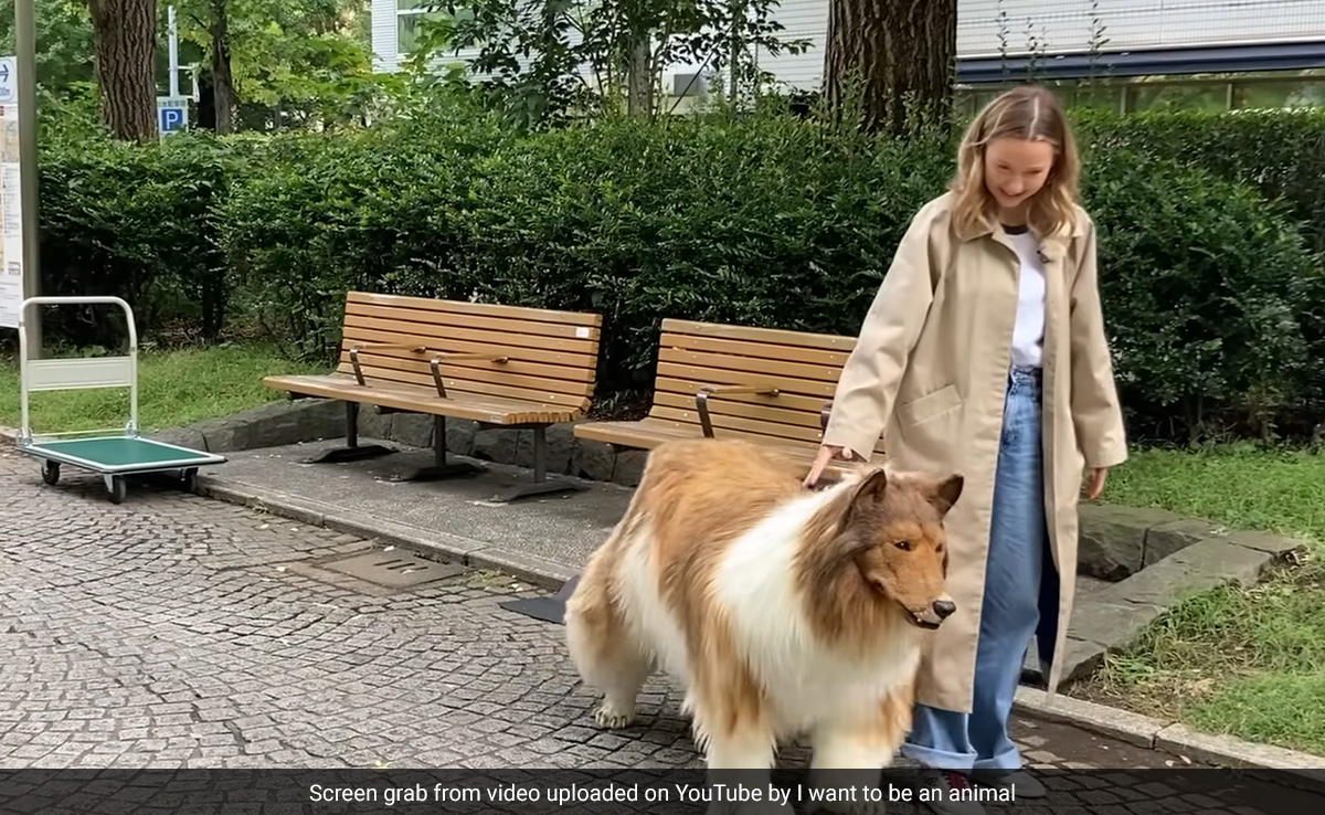 Japanese Man Who Spent $14,000 To Transform Into Dog Takes His First Walk In Public