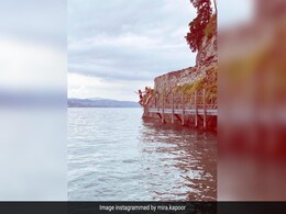 Take A Close Look At This Pic: You'll See Mira Rajput Jumping Into A Swiss Lake Take A Close Look At This Pic: You'll See Mira Rajput Jumping Into A Swiss Lake