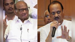 माढ्यात ट्वीस्ट? 'तो' आमदार अजित पवारांची साथ सोडायला तयार, पण...