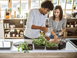 5 Common Herbs You Can Easily Grow in Kitchen Containers or Pots 5 Common Herbs You Can Easily Grow in Kitchen Containers or Pots