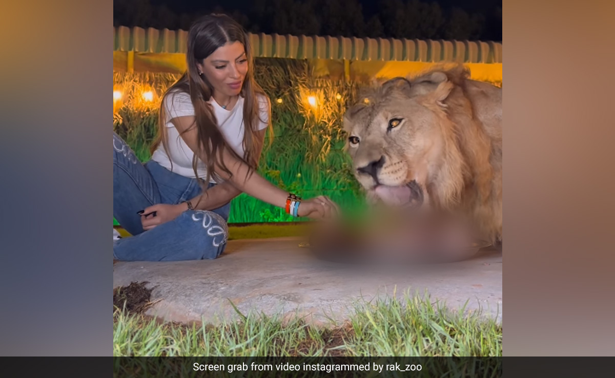 शेर के साथ एक ही प्लेट में खाना खाती दिखी महिला, वायरल हो रहा Video, देखकर लोग हैरान