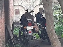 Watch: 'Monkey Heist' In Uttar Pradesh, Rs 1.5 Lakh Stolen Off A Bike Watch: 'Monkey Heist' In Uttar Pradesh, Rs 1.5 Lakh Stolen Off A Bike