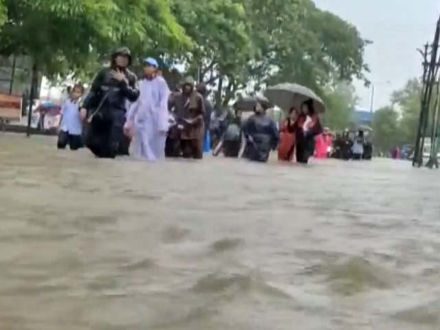 Roads Flooded, Water Overflows After Rain In Parts Of Gujarat