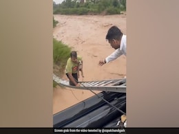 Dramatic Video Shows Man Risking His Life To Rescue Dog Stuck In Raging Waters In Chandigarh Dramatic Video Shows Man Risking His Life To Rescue Dog Stuck In Raging Waters In Chandigarh