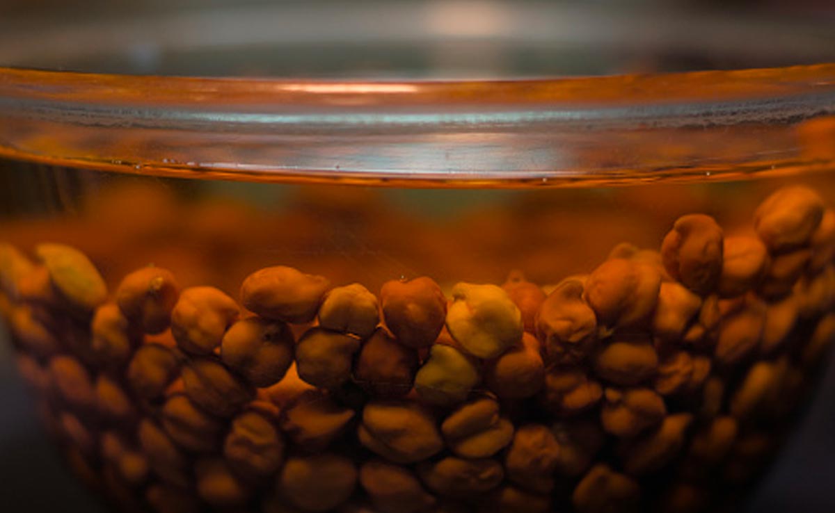 काले चने रोज सुबह खाने से इन 5 बीमारियों का डर होता है कम, नाम जानकर आप भी  कर लेंगे डाइट में शामिल | bhege kale chane khane ka fayde ,4 benefits