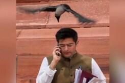 Raghav Chadha Responds To BJP's Crow Pic Tweet: "...<i>Aisa Kalyug Aaega</i>" Raghav Chadha Responds To BJP's Crow Pic Tweet: "...<i>Aisa Kalyug Aaega</i>"