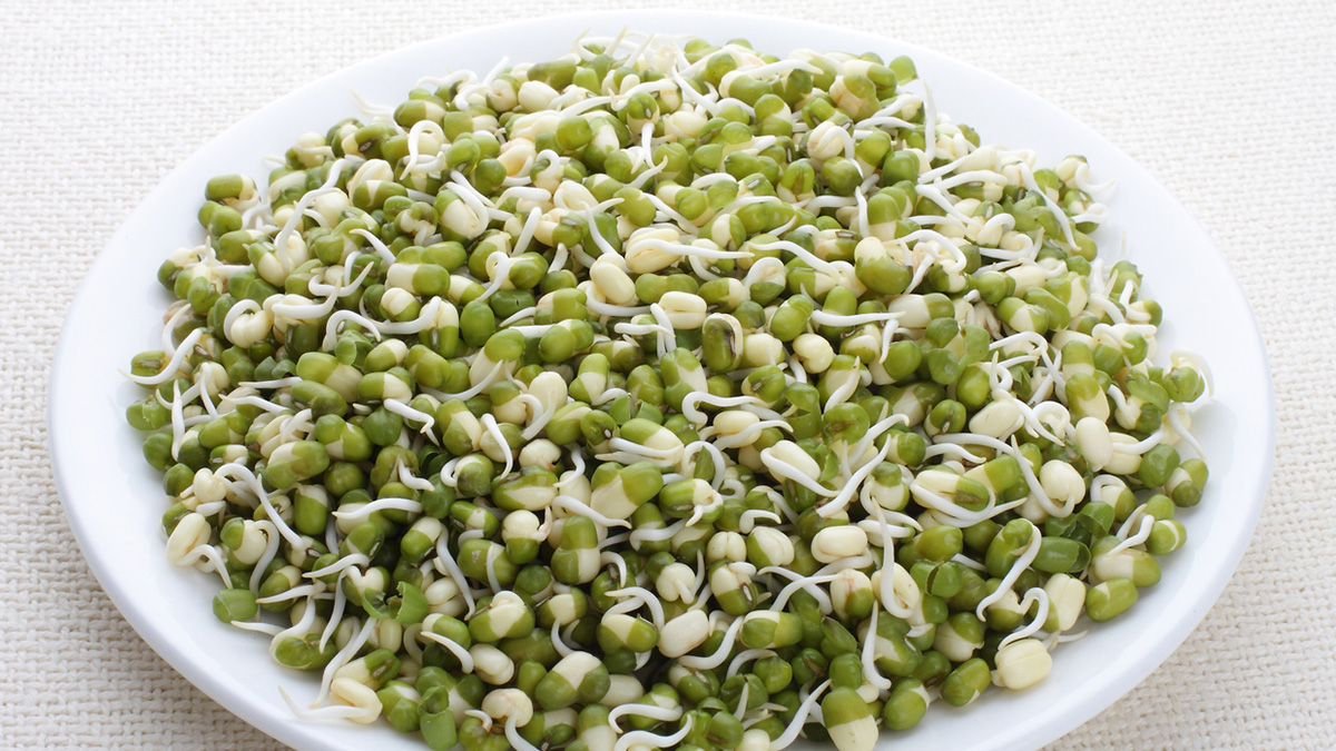 अंकुरित मूंग इस तरीके से डाइट में कर लीजिए शामिल, मिलेंगे अनगिनत फायदे