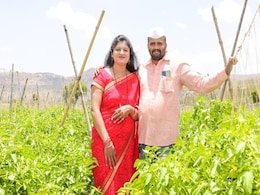 Tomato Price: टमाटर की फसल ने बनाया करोड़पति, जुन्नर में किसान दंपत्ति की लगी लॉटरी Tomato Price: टमाटर की फसल ने बनाया करोड़पति, जुन्नर में किसान दंपत्ति की लगी लॉटरी