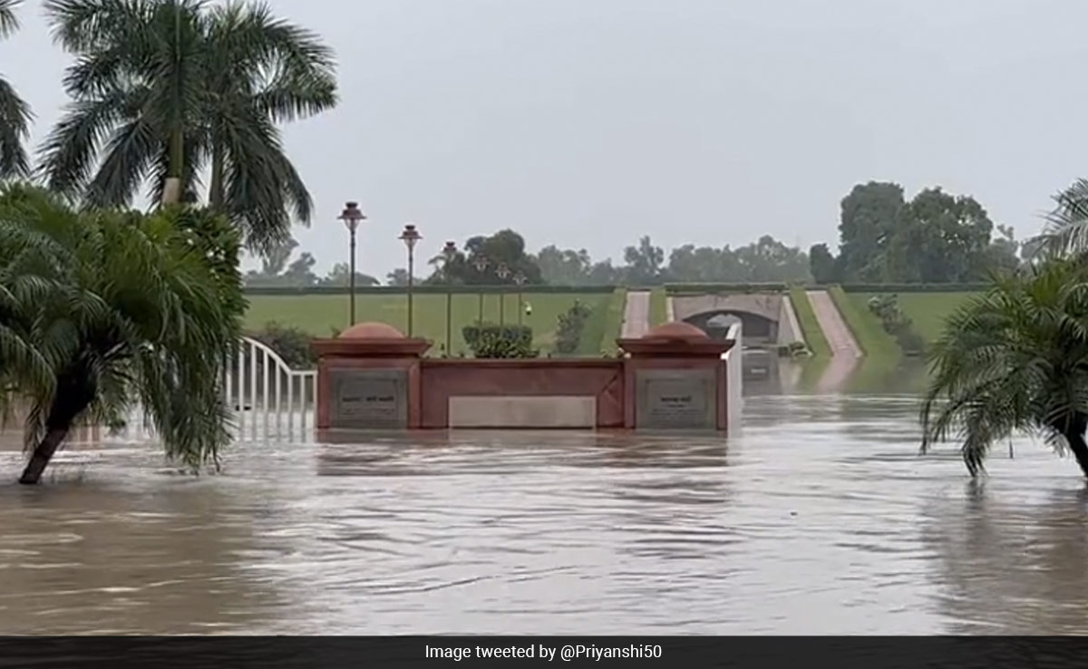 Yamuna Water Inundated Pathways Of Gandhi Memorial At Rajghat: Official