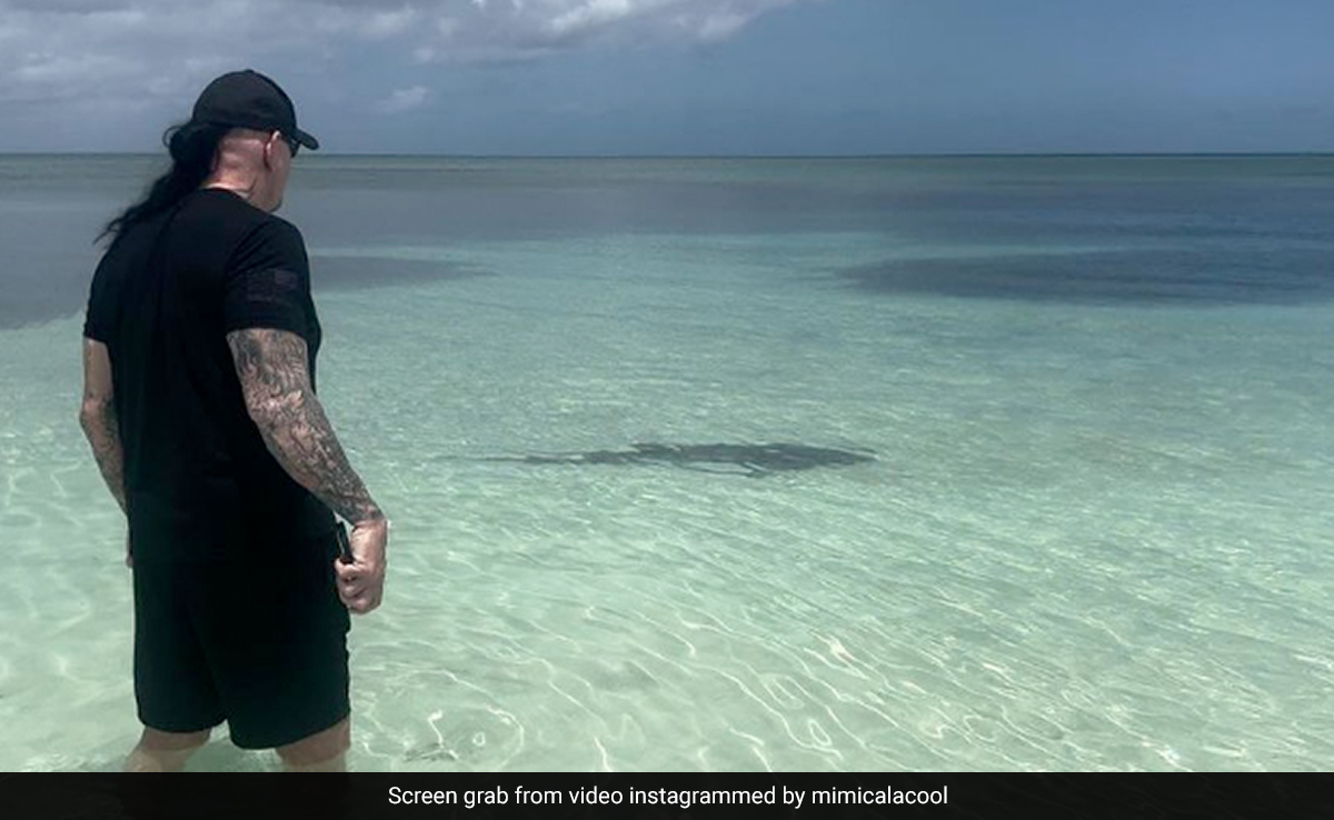 Watch: WWE Legend The Undertaker Protects Wife From Possible Shark Attack
