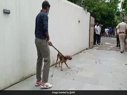 दक्षिण दिल्ली के घर में मिले 14 स्ट्रीट डॉग, कोर्ट से सर्च वारंट लाकर पुलिस ने किया रेस्क्यू दक्षिण दिल्ली के घर में मिले 14 स्ट्रीट डॉग, कोर्ट से सर्च वारंट लाकर पुलिस ने किया रेस्क्यू
