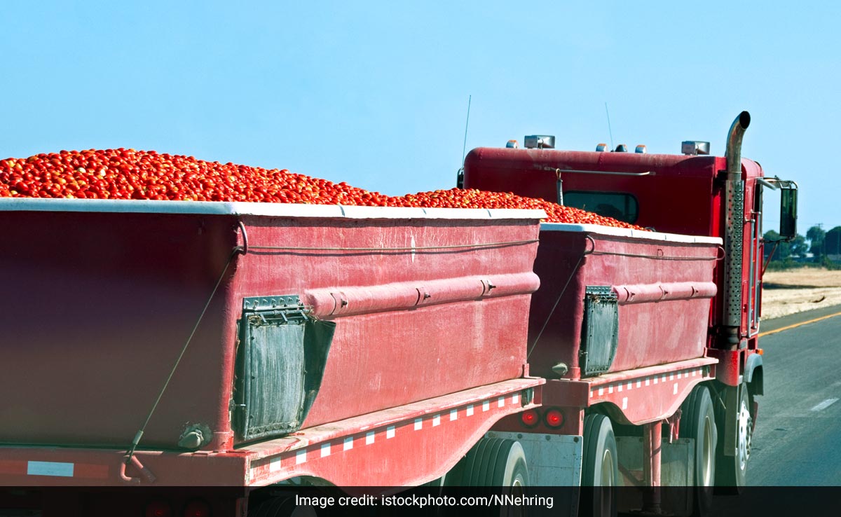 Gang Steals Truck With Tomatoes Worth Nearly Rs 3 Lakhs Near Bengaluru