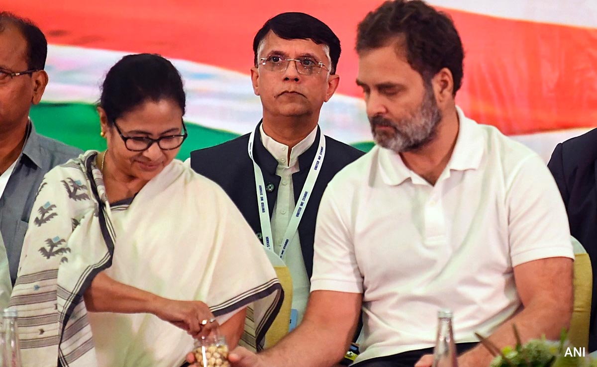 "I Told Him...": Mamata Banerjee To Rahul Gandhi After INDIA Meet Deferred