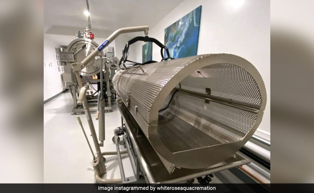 'Boil in The Bag': UK Adopts New Form of Environmental Friendly Cremation