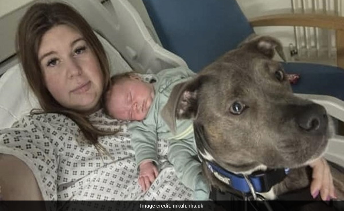 UK Woman With Autism Gives Birth To Son With The Help Of Her 'Dog Midwife'