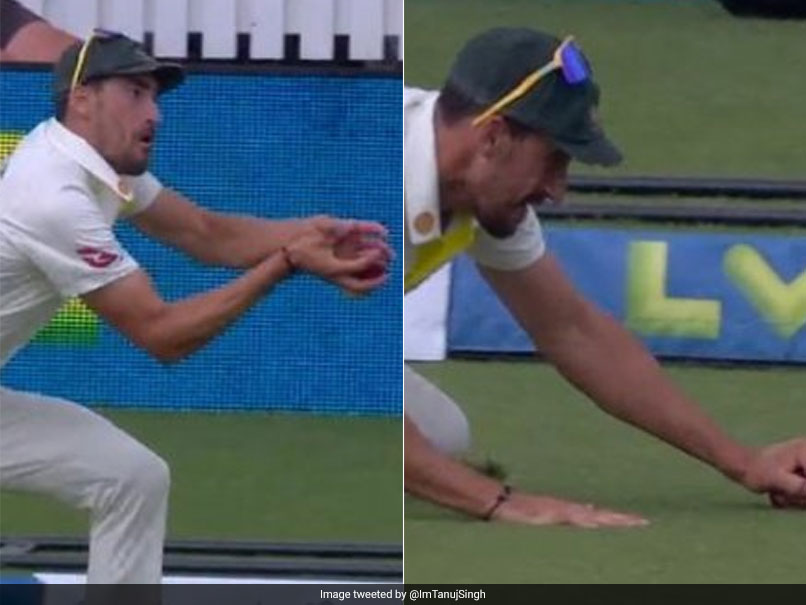 Watch: Mitchell Starc's 'Grounded' Catch Triggers Controversy. Here's Why It Was Not Out