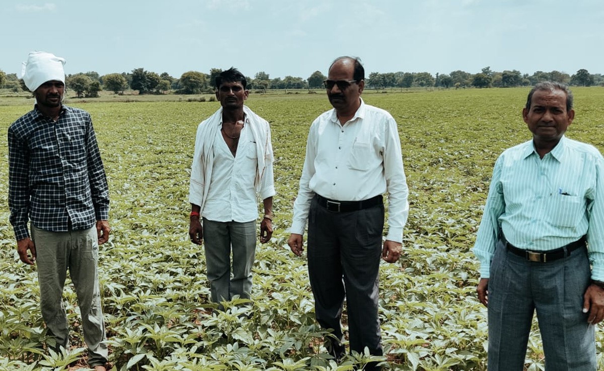छतरपुर : बारिश नहीं हो रही है तो फसलों पर होगा असर, परेशानी में हैं 'अन्नदाता'