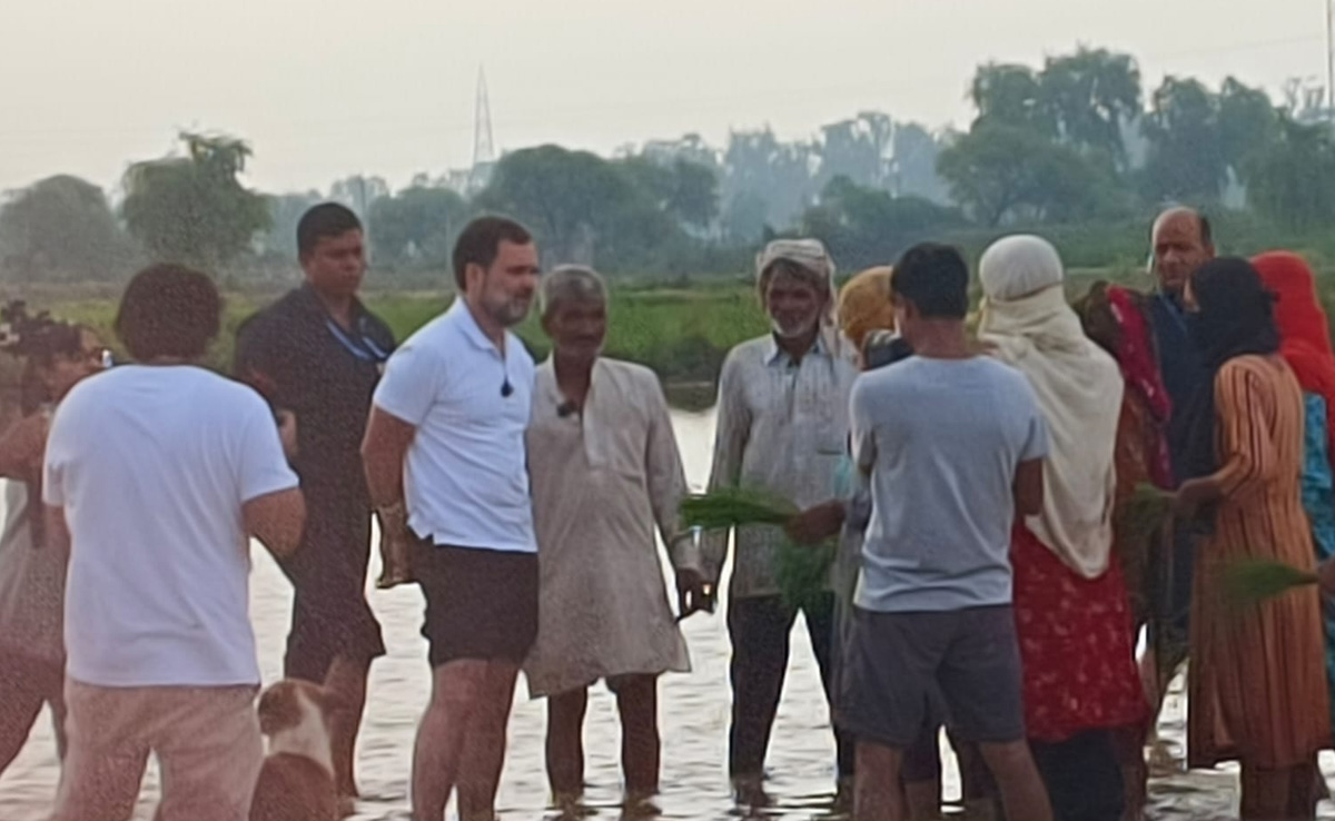 किसान भारत की ताकत, उनकी बात सुनने से देश की कई समस्याओं का समाधान संभव : राहुल गांधी