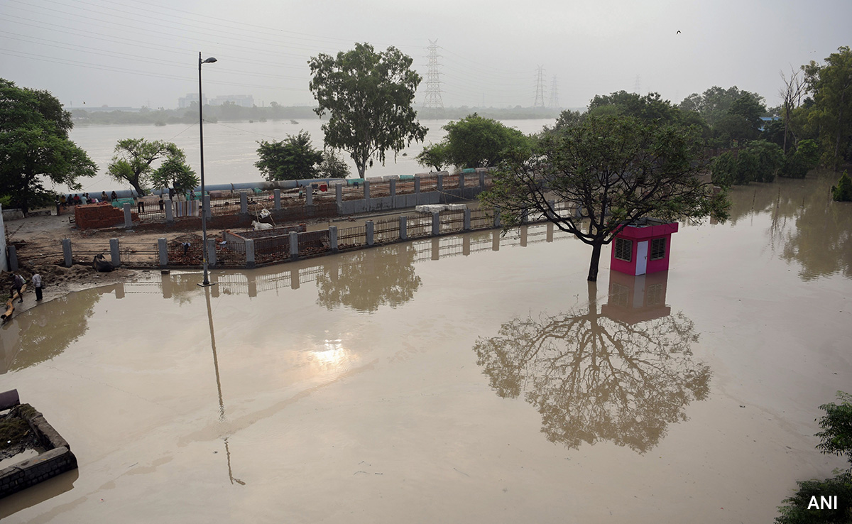 Civic Body Working Non-Stop For Delhi's Flooded Roads To Return To Normal: Atishi