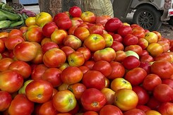Centre Moves To Curb Prices Of Wheat, Rice, Tomatoes Centre Moves To Curb Prices Of Wheat, Rice, Tomatoes