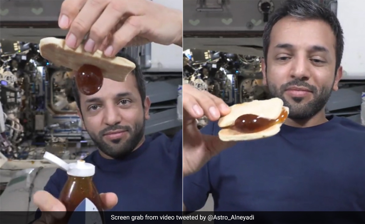 Watch: UAE Astronaut Shows How He Enjoys Honey Sandwich In Space, Internet Fascinated