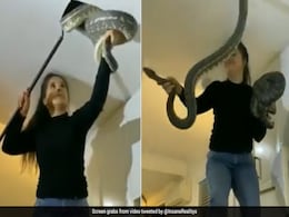 घर की छत पर था सांपों का डेरा, रेस्क्यू के दौरान महिला पर किया खौफनाक हमला घर की छत पर था सांपों का डेरा, रेस्क्यू के दौरान महिला पर किया खौफनाक हमला