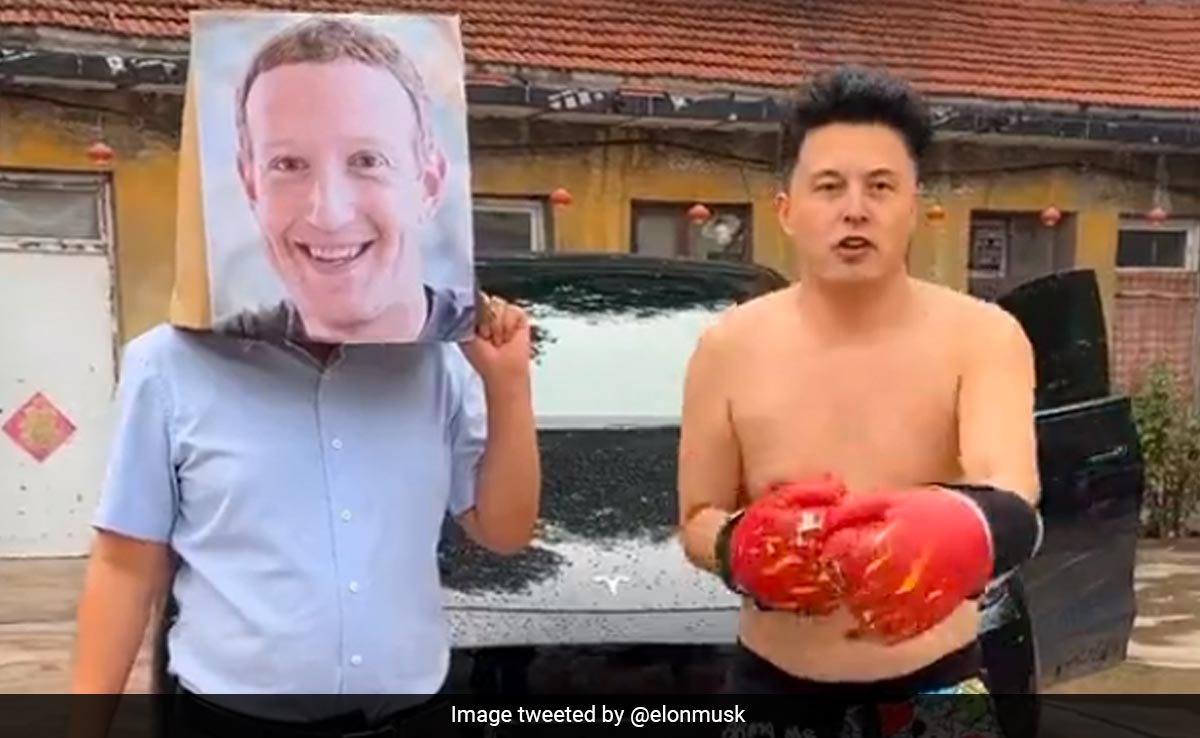 Elon Musk Reacts To His Doppelganger's Boxing Video, Wonders If It's Real Or AI-Generated