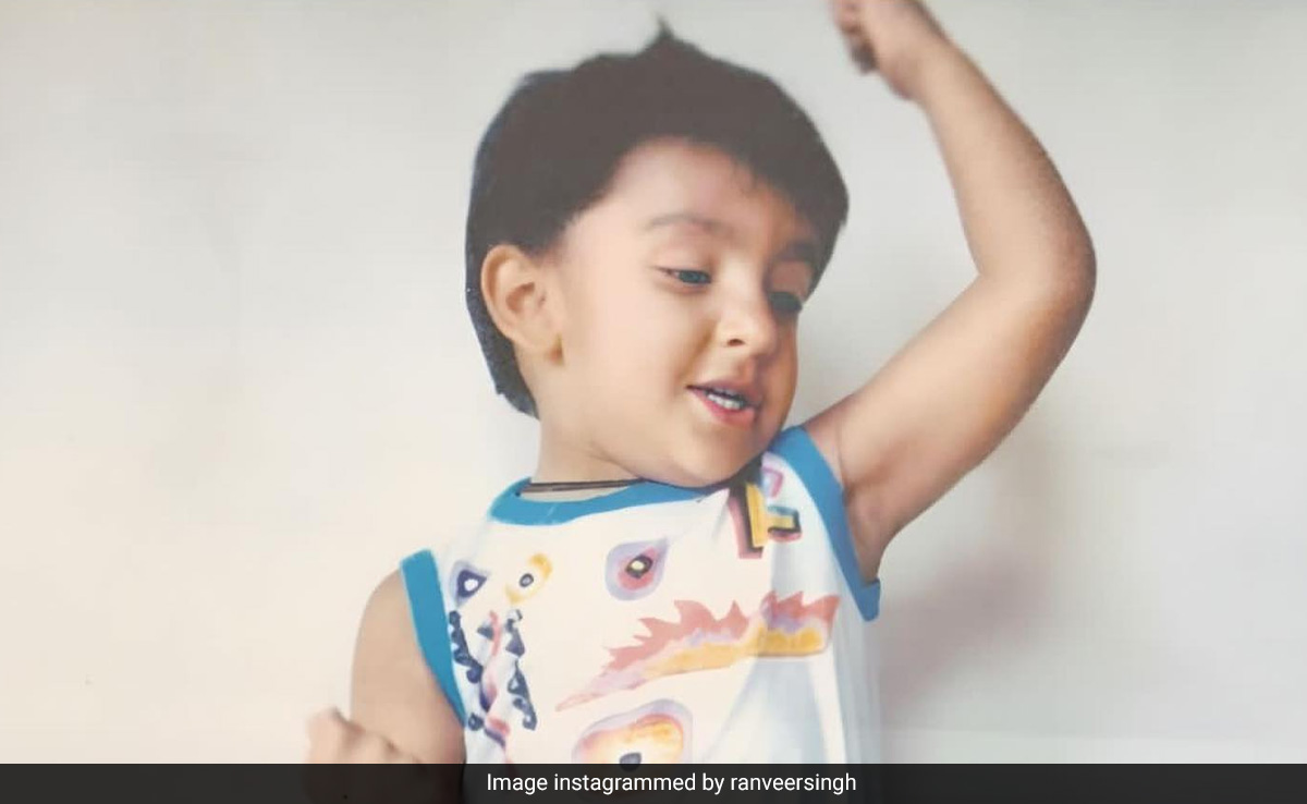 From OG Roma Zeenat Aman To New <i>Don</i> Ranveer Singh: "Find Worthy <i>Junglee Billi</i>"