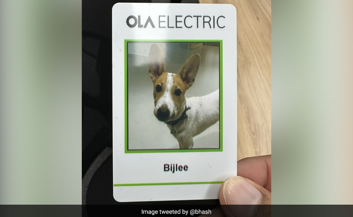Ola Electric's CEO Introduces Newest Employee 'Bijlee', Wins Hearts Online