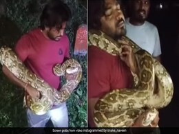 रात के अंधेरे में शख्स के हाथ लगा विशाल अजगर, देख लोगों के छूटे पसीने, लेकिन अगले ही पल.. रात के अंधेरे में शख्स के हाथ लगा विशाल अजगर, देख लोगों के छूटे पसीने, लेकिन अगले ही पल..