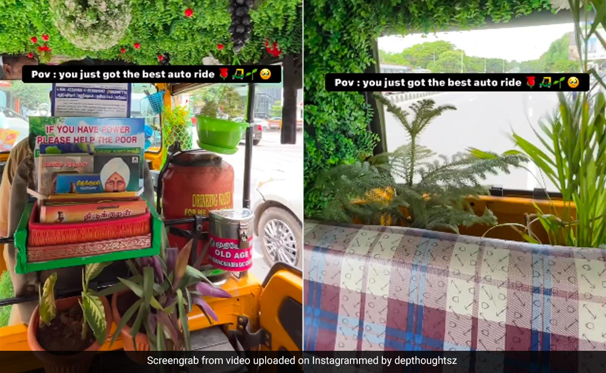 Watch: Chennai Driver Creates Mini Garden Inside His Auto, Creativity Impresses Internet