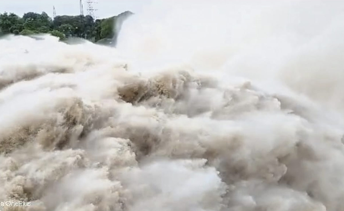 उमरिया: जोहिला डैम के चार गेट खुले, प्रशासन ने जारी किया अलर्ट