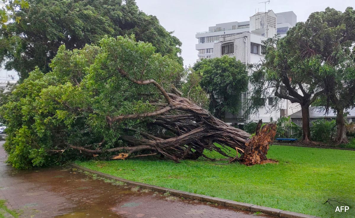 Typhoon In Japan Forces Nagasaki Bombing Commemorations To Move Indoors